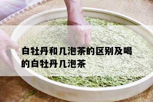 白牡丹和几泡茶的区别及喝的白牡丹几泡茶