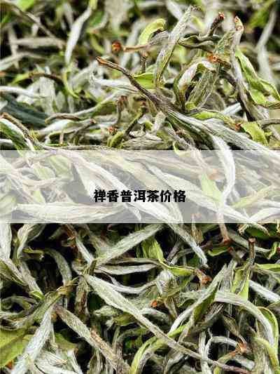 禅香普洱茶价格