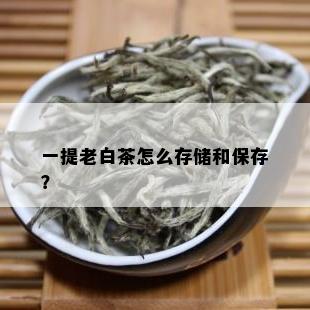 一提老白茶怎么存储和保存？