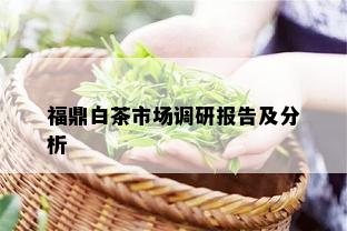 福鼎白茶市场调研报告及分析