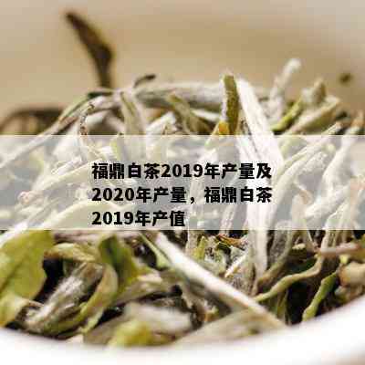 福鼎白茶2019年产量及2020年产量，福鼎白茶2019年产值