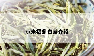 小米福鼎白茶介绍