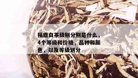 福鼎白茶级别分别是什么，4个等级和价格，品种和颜色，以及等级划分