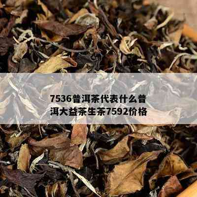 7536普洱茶代表什么普洱大益茶生茶7592价格