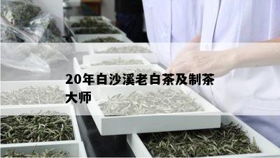 20年白沙溪老白茶及制茶大师