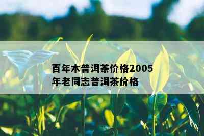 百年木普洱茶价格2005年老同志普洱茶价格