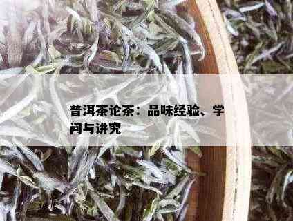 普洱茶论茶：品味经验、学问与讲究