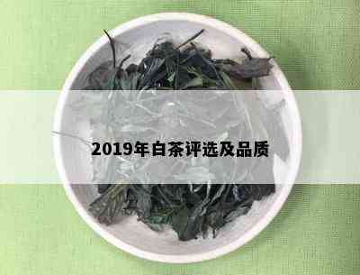 2019年白茶评选及品质