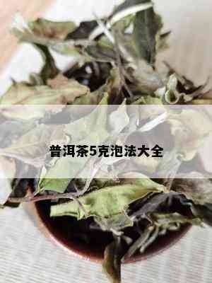 普洱茶5克泡法大全