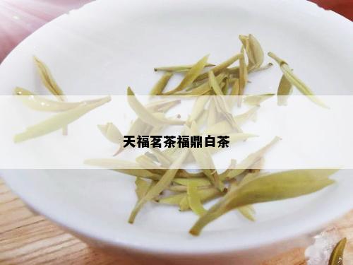 天福茗茶福鼎白茶