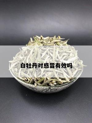 白牡丹对感冒有效吗