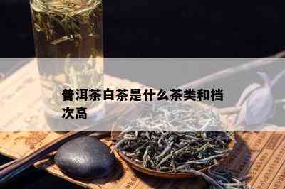 普洱茶白茶是什么茶类和档次高