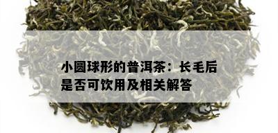 小圆球形的普洱茶：长毛后是否可饮用及相关解答