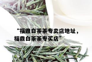 “福鼎白茶茶专卖店地址，福鼎白茶茶专买店”