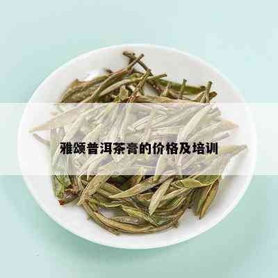 雅颂普洱茶膏的价格及培训