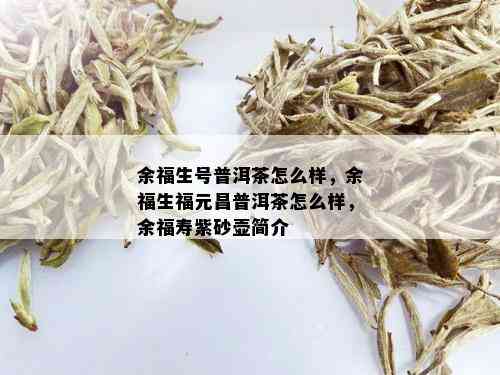 余福生号普洱茶怎么样，余福生福元昌普洱茶怎么样，余福寿紫砂壶简介