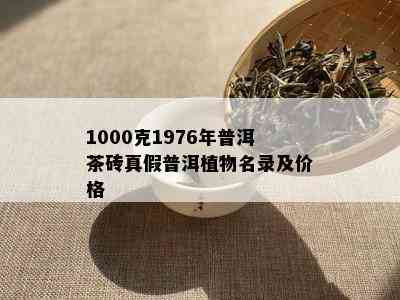 1000克1976年普洱茶砖真假普洱植物名录及价格