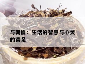 与朝眉：生活的智慧与心灵的富足