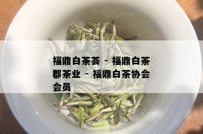 福鼎白茶荟 - 福鼎白茶郡茶业 - 福鼎白茶协会会员