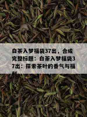 白茶入梦福袋37出，合成完整标题：白茶入梦福袋37出：探索茶叶的香气与福利