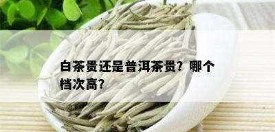 白茶贵还是普洱茶贵？哪个档次高？