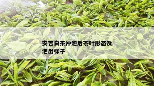 安吉白茶冲泡后茶叶形态及泡出样子