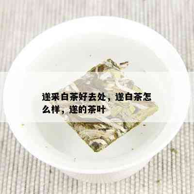 遂采白茶好去处，遂白茶怎么样，遂的茶叶