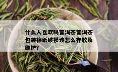 什么人喜欢喝普洱茶普洱茶包装棉纸破损该怎么存放及维护？