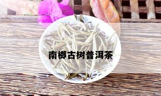 南榔古树普洱茶