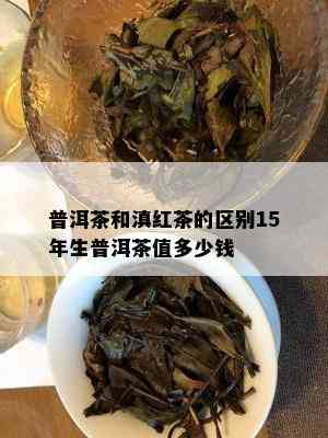 普洱茶和滇红茶的区别15年生普洱茶值多少钱