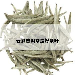 云彩普洱茶是好茶叶