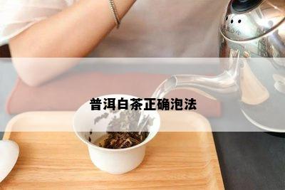 普洱白茶正确泡法