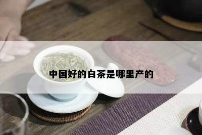 中国好的白茶是哪里产的