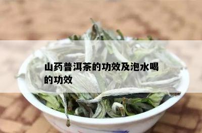 山普洱茶的功效及泡水喝的功效