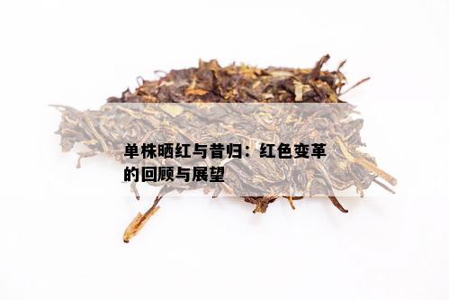 单株晒红与昔归：红色变革的回顾与展望