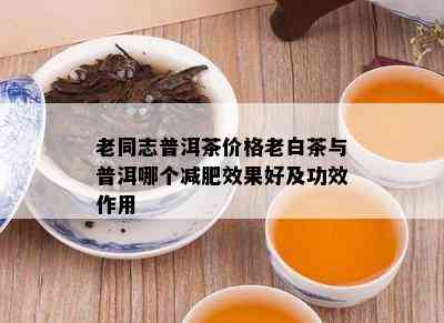 老同志普洱茶价格老白茶与普洱哪个减肥效果好及功效作用