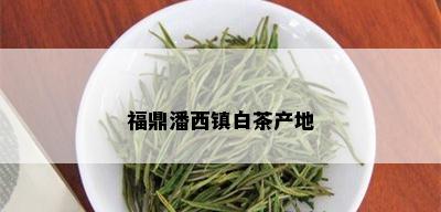 福鼎潘西镇白茶产地