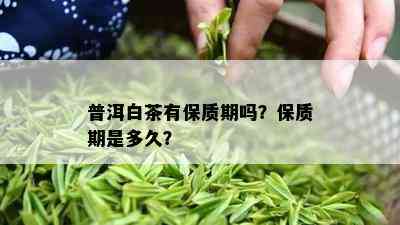 普洱白茶有保质期吗？保质期是多久？