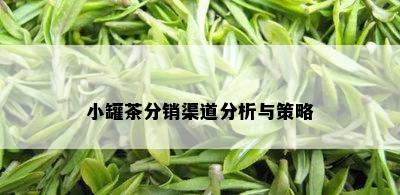 小罐茶分销渠道分析与策略