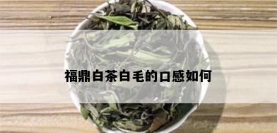 福鼎白茶白毛的口感如何