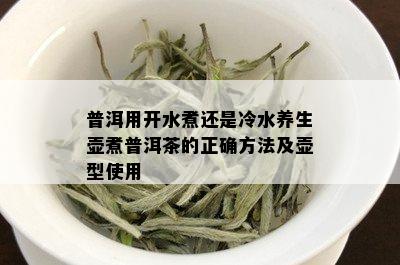 普洱用开水煮还是冷水养生壶煮普洱茶的正确方法及壶型使用