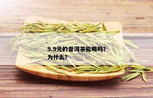 9.9元的普洱茶能喝吗？为什么？