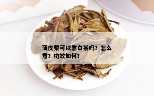 薄皮梨可以煮白茶吗？怎么煮？功效如何？