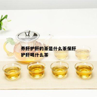 养肝护肝的茶是什么茶保肝护肝喝什么茶