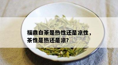 福鼎白茶是热性还是凉性，茶性是热还是凉？