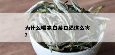 为什么喝完白茶口渴这么害？