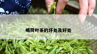 喝荷叶茶的坏处及好处