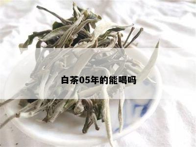 白茶05年的能喝吗