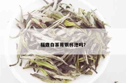 福鼎白茶用银杯泡吗？