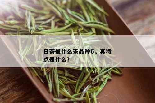 白茶是什么茶品种6，其特点是什么？